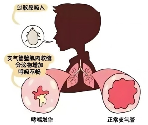 1788504022933459.jpg 屏幕截图 2026-09-04 134358.jpg