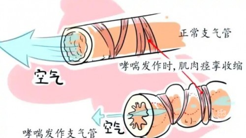 1788504259829676.jpg 屏幕截图 2026-09-04 134505.jpg