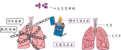 1788510524417868.jpg 屏幕截图 2026-09-04 151238.jpg