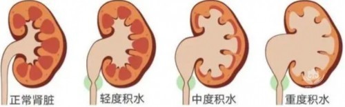 屏幕截图 2026-09-07 165902.jpg