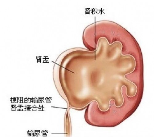屏幕截图 2026-09-07 170114.jpg