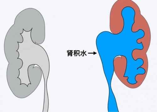 1788836680612167.jpg 屏幕截图 2026-09-07 170155.jpg