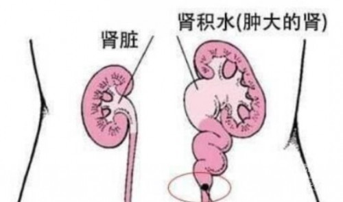 1788838792895555.jpg 屏幕截图 2026-09-07 184150.jpg