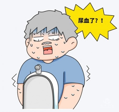 1788923493141443.jpg 屏幕截图 2026-09-08 115826.jpg