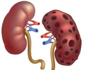 1788925362837910.jpg 屏幕截图 2026-09-09 101122.jpg
