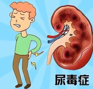1788925676301604.jpg 屏幕截图 2026-09-09 101356.jpg