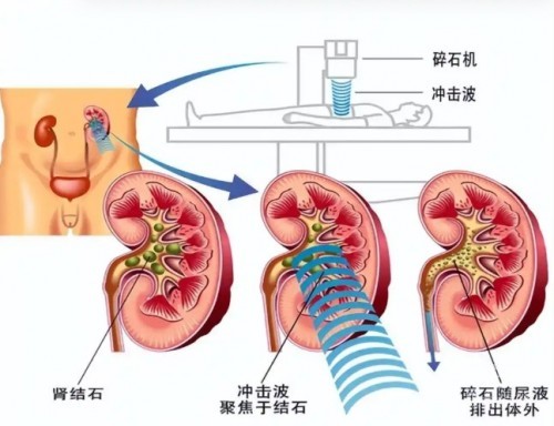 1788926035721024.jpg 屏幕截图 2026-09-09 101531.jpg